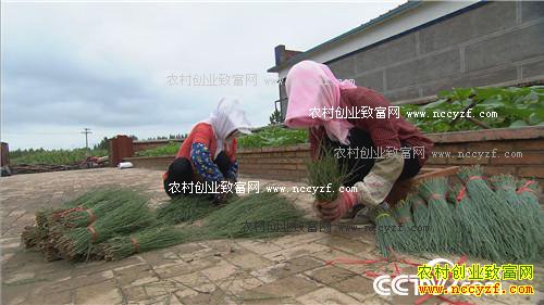 ��ɳ�¸������С���ơ�