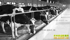 ������������ţ������