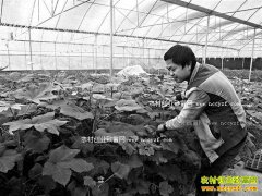 �������ν���ֲ���������ʵ��������ɹ�