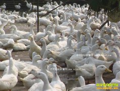 ����ι��Ѽ���ܶ����