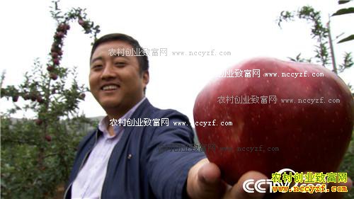 �¸����������ط���ƻ����ζ��������� 11��8��