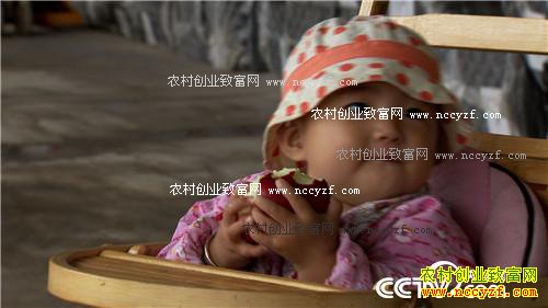 �����ط���ƻ�� ��ζ���������