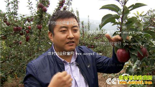 �����ط���ƻ�� ��ζ���������