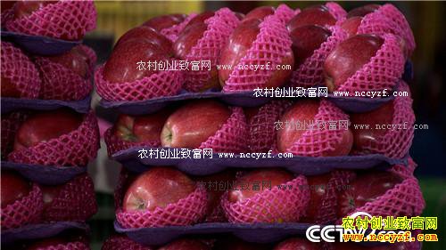 �����ط���ƻ�� ��ζ���������