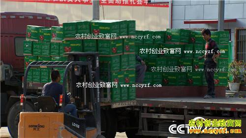 �����ط���ƻ�� ��ζ���������