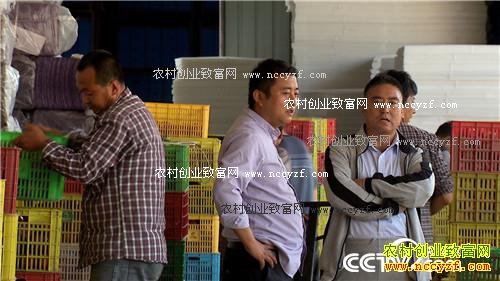 �����ط���ƻ�� ��ζ���������