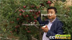 [�¸���]�����������������ط�����ţƻ������������