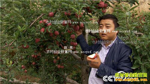 �¸����������ط���ƻ����ζ��������� 11��8��