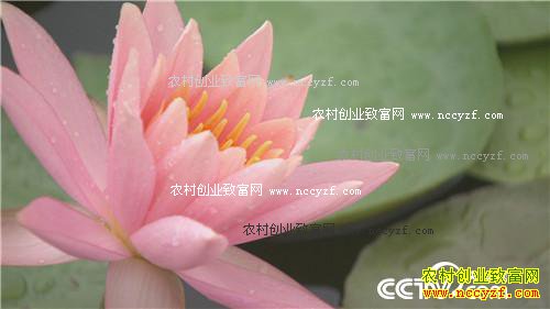 ��ѮŮ���ӷ������̻�֮��