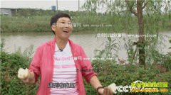 [�¸���]�㽭�������ɽ��ֲ���ͺɻ�������Ԫ