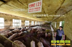 ������׬Ǯ�𣺺��������Ԫ��������������15��Ԫ