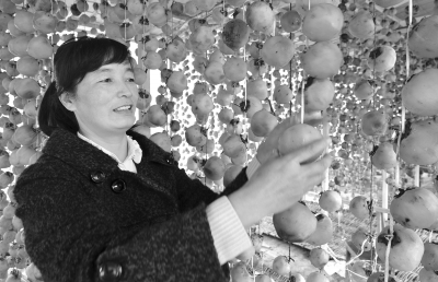 �����ųأ���ֲţ������Ķ������6000Ԫ