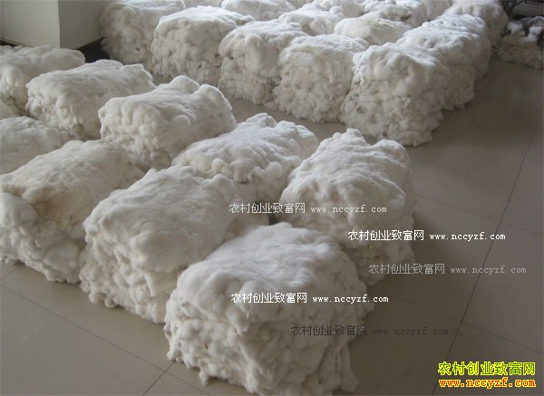 2017��̡�ü۸�����Ԥ�⣺̡��Ƥ�г�������Ϸ��