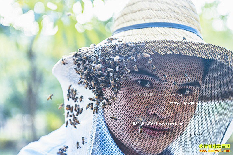 �㽭����������ɷ�״Ԫ