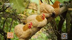 [ÿ��ũ��]һ��ˮ������ �������������ɡ�����ɽ