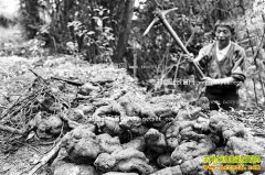 �����뽭�ε�ȫͥԺ��ֲ�����ں��¸�