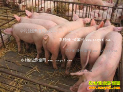 2016��11���Ĵ������۸����飺���۽�����խ������