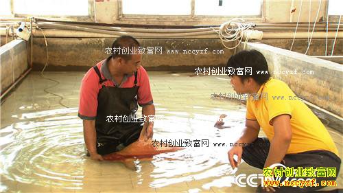 [�¸���]�㶫��ɽ̷���꣺����Ѱ������������