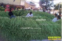 ���Ǽ۸��������� ���궹�ǲ�ҪäĿ������