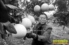 ����ϴ���ת����Ԭ������ֲ�gϪ���ִ�ҵ�¸�