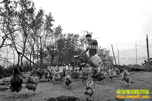 �����뽭�ƾ����ӳ��ٷ���ֳ���ݺ�����������20����