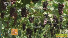 [ũ�����]����Ų�ض���׬Ǯ ������������Ƶ