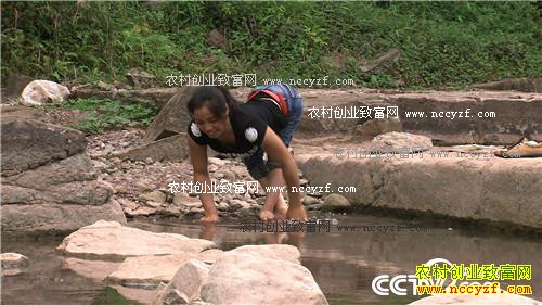 [�¸���]�Ĵ���ɽ��Զ�㿿���߳�����ţ�¸�·