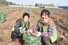 ɽ����ƽ����ֲ��ҵ����Ķ������2200ԪЧ�淭һ��