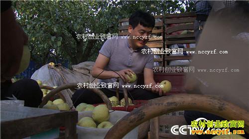 �¸�����ũ��С���������ͷ�Ƹ����� 11��18��