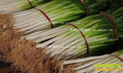 ���´�м۸����飺����ǰ�С���ⲻ�� ��м۸�ع�ƽ��