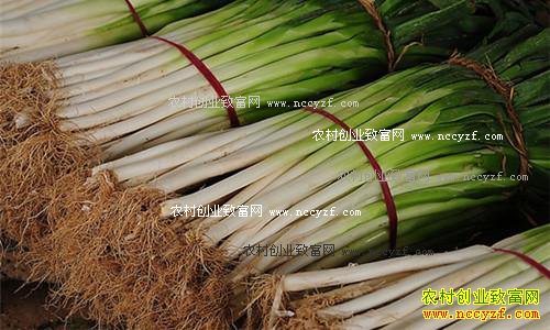 ���´�м۸����飺����ǰ�С���ⲻ�� ��м۸�ع�ƽ��