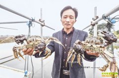 �㽭�����غ����򣺺�з��ֳ��ũ��