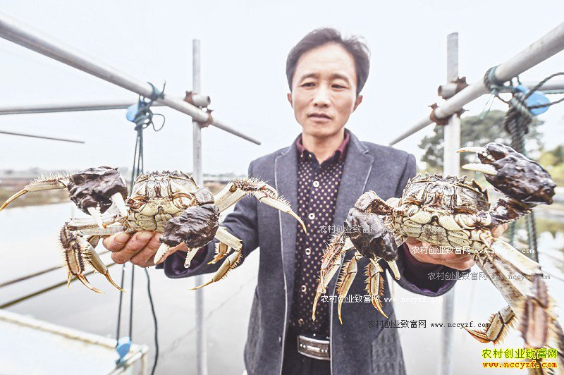 �㽭�����غ����򣺺�з��ֳ��ũ��