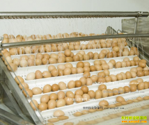 �ӹ�����Ҳ׬Ǯ��������Դ������ƷС��������������