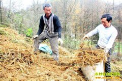 ������ʩ����ֲţϥ��ũ����ƶ�¸�����Ŀ