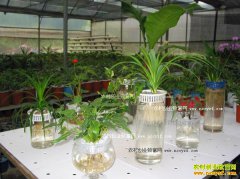 ���Ի����������༼��Ҫ��