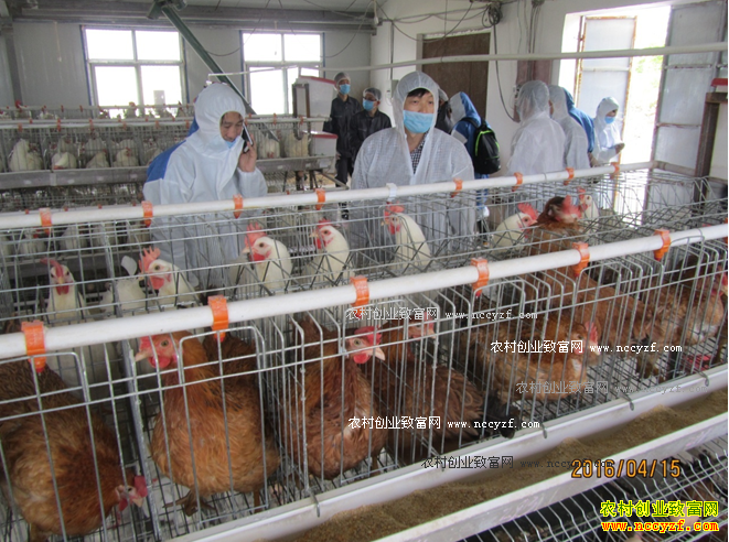 ����������Ʒ�֡�����2�ŵ���������ڿհ�