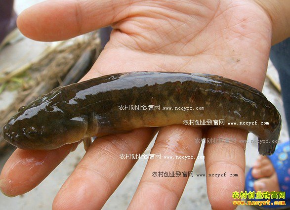 ������ɽ�غγ�����ֳ�л���������Ϳ�㣩�����¸�·