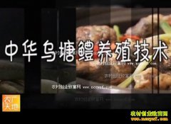 [ũ�����]�л������k��ֳ������Ƶ