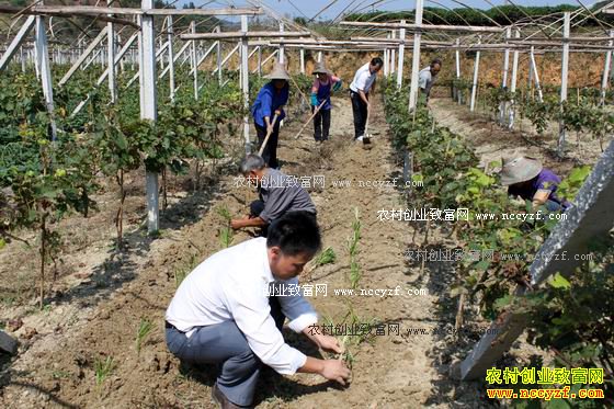 ������½�������������־²�Ķ����2��Ԫ����