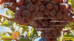 [ũ�����]�ӱ��������Ѵ��г�