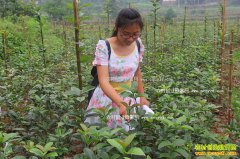 ���������������������ޱ��ũ����ҵ�¸���