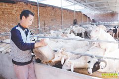 ɽ����ϲ���������ѧ���򷢼��¸�