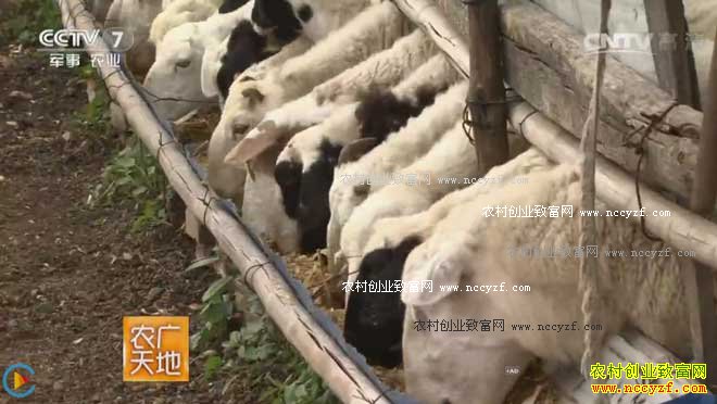 [ũ�����]��ѩ�Գ����������·�ʽ 20161122