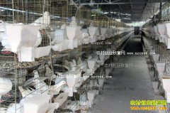 �Ĵ������Ž�����ֳ�������200��Ԫ��ũ�¸�