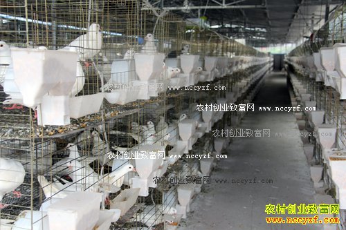 �Ĵ��������Ž�����ֳ���������200��Ԫ