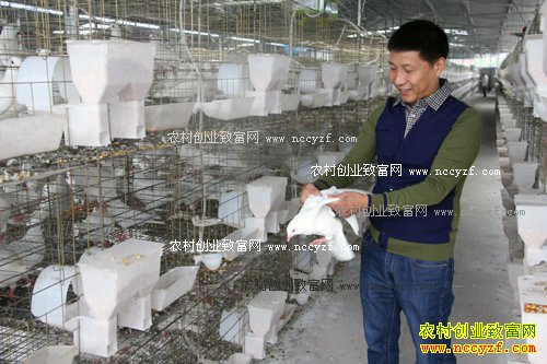 �Ĵ��������Ž�����ֳ���������200��Ԫ