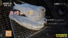 [ÿ��ũ��]�㽭ƽ���������йظ��Ӻ͸��ӵ�������