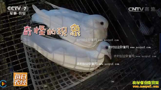 [ÿ��ũ��]�йظ��Ӻ͸��ӵ�������20161122