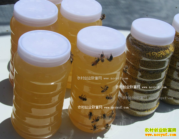 �������ݸ������ƶ��һ���΢����������ũ�¸�